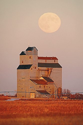 07122022
December's full moon, known as the cold moon, long night moon, or moon before Yule, rises to the northeast behind the Harte elevator in western Manitoba on a crisp and clear late Wednesday afternoon.  (Tim Smith/The Brandon Sun)