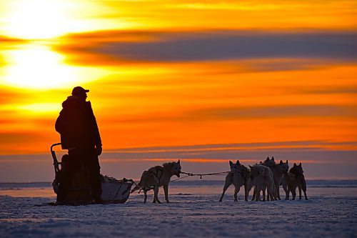 Photos by Shel Zolkewich / Winnipeg Free Press
Take in all of Manitoba’s gorgeous landscapes from the comfort of a dogsled. If a Churchill trip in on your radar, book a visit with Wapusk Adventures, BlueSky Expeditions or Churchill River Mushing (pictured here) to get the sub-Arctic experience. 