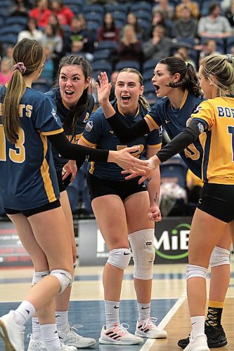 The Brandon University Bobcats women's volleyball team celebrates a Syree Tucker (13) kill during the first semester of Canada West action. (Thomas Friesen/The Brandon Sun)