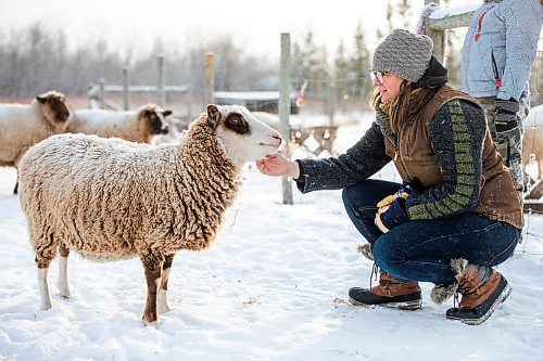 MIKAELA MACKENZIE / WINNIPEG FREE PRESS

Anna Hunter, co-director of Pembina Fibreshed, poses for a portrait with her flock of wool sheep at her fibre farm east of Winnipeg on Tuesday, Dec. 6, 2022. For green page story.
Winnipeg Free Press 2022.