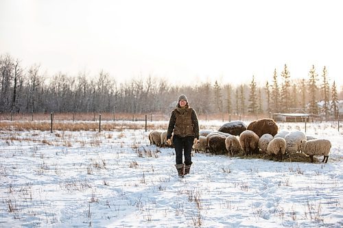 MIKAELA MACKENZIE / WINNIPEG FREE PRESS

Anna Hunter, co-director of Pembina Fibreshed, poses for a portrait with her flock of wool sheep at her fibre farm east of Winnipeg on Tuesday, Dec. 6, 2022. For green page story.
Winnipeg Free Press 2022.