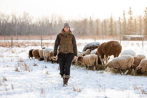 MIKAELA MACKENZIE / WINNIPEG FREE PRESS

Anna Hunter, co-director of Pembina Fibreshed, poses for a portrait with her flock of wool sheep at her fibre farm east of Winnipeg on Tuesday, Dec. 6, 2022. For green page story.
Winnipeg Free Press 2022.