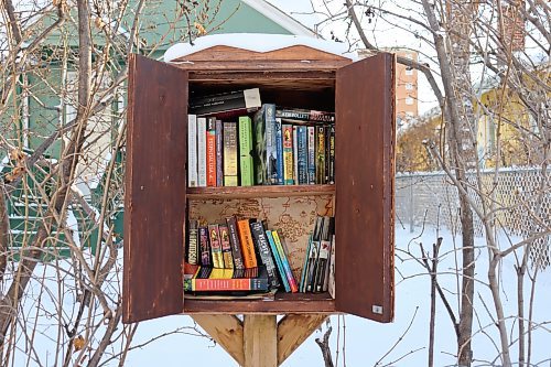 Rachel Ferstl / Winnipeg Free Press
Zana Lutfiyya&#x573; Narnia-themed little free library