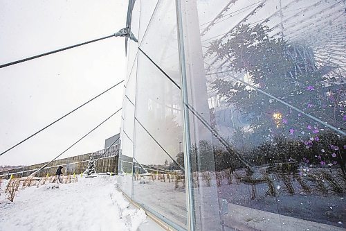 MIKAELA MACKENZIE / WINNIPEG FREE PRESS

Folks walk out of the snow and into the tropics at The Leaf in Winnipeg on Wednesday, Dec. 14, 2022. Standup.
Winnipeg Free Press 2022.