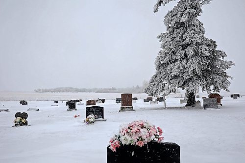 14122022
Snow and frost cling to the headstones and lone tree in the desolate Boyd Cemetery in the Rural Municipality of Minto-Odanah on Wednesday. 
(Tim Smith/The Brandon Sun)