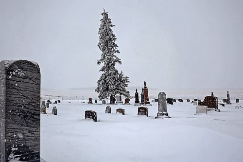 14122022
Snow and frost cling to the headstones and lone tree in the desolate Boyd Cemetery in the Rural Municipality of Minto-Odanah on Wednesday. 
(Tim Smith/The Brandon Sun)