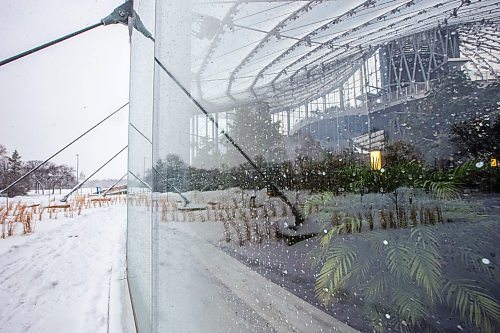 MIKAELA MACKENZIE / WINNIPEG FREE PRESS

Tropical plants contrast with the snowy wonderland outside at The Leaf in Winnipeg on Wednesday, Dec. 14, 2022. Standup.
Winnipeg Free Press 2022.