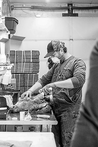 MIKAELA MACKENZIE / WINNIPEG FREE PRESS

Brian Kiss cuts the lymph nodes out of a deer head at a lab in Dauphin where cervid tissue samples are taken to test for Chronic Wasting Disease on Tuesday, Nov. 29, 2022. For JS Rutgers story.
Winnipeg Free Press 2022.