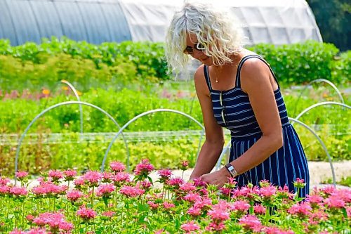 A gift certificate to one of Manitoba&#x573; flower farms make the very best stocking stuffers. (Winnipeg Free Press Files)