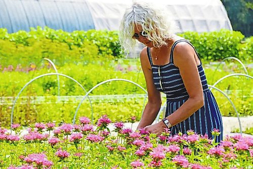 A gift certificate to one of Manitoba&#x573; flower farms make the very best stocking stuffers. (Winnipeg Free Press Files)