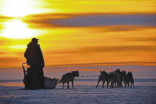 If a Churchill trip in on your radar, book a visit with Wapusk Adventures, BlueSky Expeditions or Churchill River Mushing (pictured here) to get the sub-Arctic experience. (Shel Zolkewich / Winnipeg Free Press)