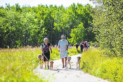 MIKAELA MACKENZIE / WINNIPEG FREE PRESS

Riekie and Doug Yard enjoy the sun while walking on a trail at Assiniboine Forest (where new funding was just announced) in Winnipeg on Friday, Aug. 12, 2022.  For Tyler story.
Winnipeg Free Press 2022.