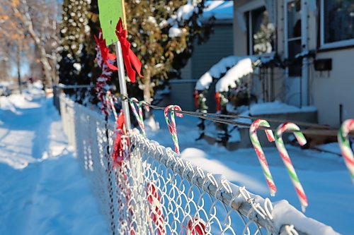 Free candy canes hang on a line in front of Susan and Wayne Drosdoski's house on Sixth Street in Brandon.
It's the Drosdoski's way of giving back and putting a smile on the faces of people walking down the sidewalk past their home.  (Michele McDougall/The Brandon Sun)