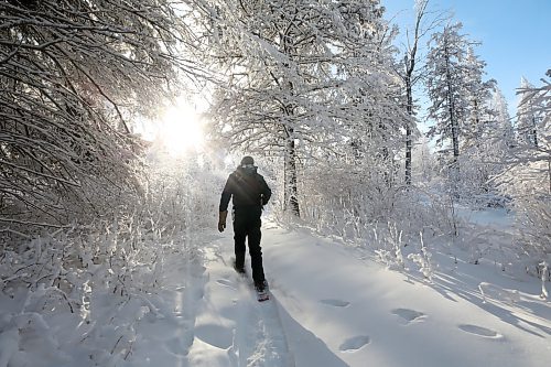 Parks Canada resource conservation officer Tim Town snowshoes along the Bead Lakes Trail on Tuesday during the annual Christmas Bird Count in Riding Mountain National Park. (Matt Goerzen/The Brandon Sun)