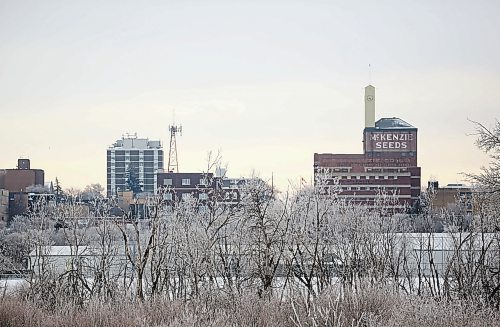 Brandon Sun The Brandon city skyline as seen from the Riverbank Discovery Centre on Tuesday morning. (Matt Goerzen/The Brandon Sun)