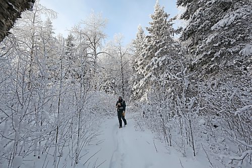 Parks Canada resource conservation officer Tim Town stops for a moment to listen for bird calls along the Bead Lakes Trail on Dec. 20 during the annual Christmas Bird Count in Riding Mountain National Park. (Matt Goerzen/The Brandon Sun)
