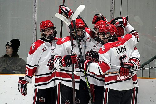 The Southwest Cougars celebrate after scoring a goal against the Parkland Rangers during a Manitoba AAA Under-18 Hockey League game in Killarney earlier this month. (Lucas Punkari/The Brandon Sun)