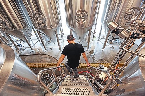 Section 6 brewer Ben Loewen walks down the stairs from a platform in the brew house on Wednesday afternoon, while giving a tour of the building at 1126 Princess Avenue. (Matt Goerzen/The Brandon Sun)