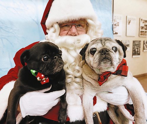 JOHN WOODS / WINNIPEG FREE PRESS

Luna and Bozley had their photos with Santa Claus, played by Doug Speirs, at Pet Pics with Santa Paws fundraiser in support of the humane society at the Winnipeg Free Press Sunday, November 18, 2018.