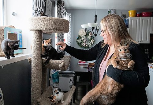 JESSICA LEE / WINNIPEG FREE PRESS

Jill Bristow, 42, fosters cats with the Winnipeg Humane Society Foster Program. She is photographed with her own cats and the kittens she is currently fostering in her apartment on December 29, 2022.

Reporter: Aaron Epp