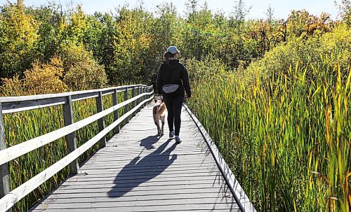 RUTH BONNEVILLE / WINNIPEG FREE PRESS



Weather standup



Keri Wizbicki and her 4-year-old dog Narya, enjoy the warm weather as the walk along the Assiniboine Forest boardwalk Tuesday.



Sept 27th,  2022