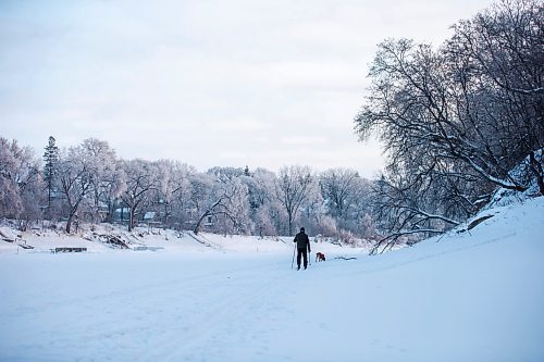 MIKAELA MACKENZIE / WINNIPEG FREE PRESS

Thaner Chartrand and his dog, Stanlee, go for a morning ski on the Assiniboine River in Winnipeg on Tuesday, Jan. 3, 2023. Chartrand is visiting from Quebec, and enjoys the wildlife (like deer, fox, and coyotes) he gets to see while skiing on the river. Standup.
Winnipeg Free Press 2022.