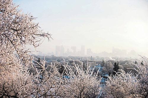 MIKAELA MACKENZIE / WINNIPEG FREE PRESS

Ice fog hangs over the city, as seen from Garbage Hill, in Winnipeg on Tuesday, Jan. 3, 2023. Standup.
Winnipeg Free Press 2022.