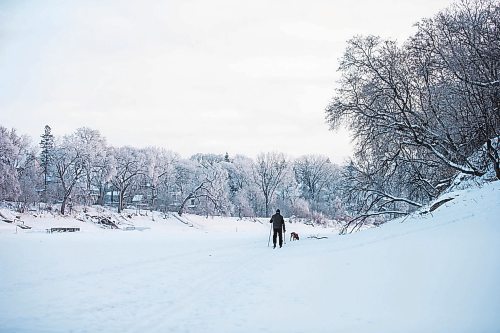 MIKAELA MACKENZIE / WINNIPEG FREE PRESS

Thaner Chartrand and his dog, Stanlee, go for a morning ski on the Assiniboine River in Winnipeg on Tuesday, Jan. 3, 2023. Chartrand is visiting from Quebec, and enjoys the wildlife (like deer, fox, and coyotes) he gets to see while skiing on the river. Standup.
Winnipeg Free Press 2022.