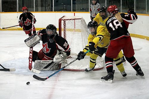 Yellowhead Chiefs forward Tryn Turner reaches for the puck during a Manitoba Female Hockey League Under-18 AAA game with the Winnipeg Avros in Shoal Lake. (Lucas Punkari/The Brandon Sun)