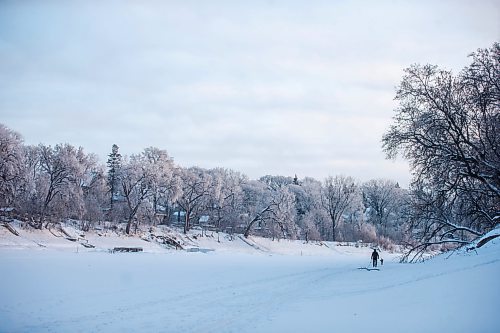 MIKAELA MACKENZIE / WINNIPEG FREE PRESS

Thaner Chartrand and his dog, Stanlee, go for a morning ski on the Assiniboine River in Winnipeg on Tuesday, Jan. 3, 2023. Chartrand is visiting from Quebec, and enjoys the wildlife (like deer, fox, and coyotes) he gets to see while skiing on the river. Standup.
Winnipeg Free Press 2022.