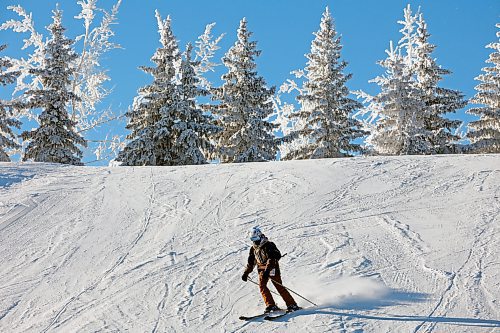 03012023
A skier makes their way down a run at Asessippi Ski Resort on a sunny Tuesday. (Tim Smith/The Brandon Sun)