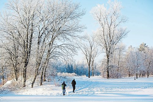 MIKE DEAL / WINNIPEG FREE PRESS
A a couple stroll amongst the frost covered trees in Crescent Drive Park Wednesday morning.
230104 - Wednesday, January 04, 2023.