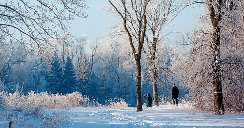 MIKE DEAL / WINNIPEG FREE PRESS
A a couple stop to take photos during a stroll amongst the frost covered trees in Crescent Drive Park Wednesday morning.
230104 - Wednesday, January 04, 2023.