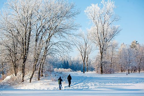 MIKE DEAL / WINNIPEG FREE PRESS
A a couple stroll amongst the frost covered trees in Crescent Drive Park Wednesday morning.
230104 - Wednesday, January 04, 2023.