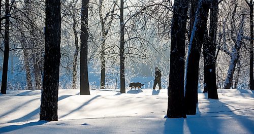 MIKE DEAL / WINNIPEG FREE PRESS
Romeo Lamondin out for a walk with his dog, Mucwah, in the frost covered trees in Crescent Drive Park Wednesday morning.
230104 - Wednesday, January 04, 2023.