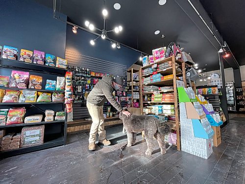 Shel Zolkewich / Winnipeg Free Press
RuffMutts in Morden has a selection of dog treats that will make even the fussiest customers happy. 