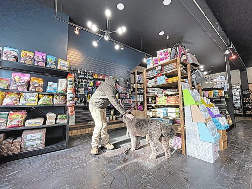 Shel Zolkewich / Winnipeg Free Press
RuffMutts in Morden has a selection of dog treats that will make even the fussiest customers happy. 