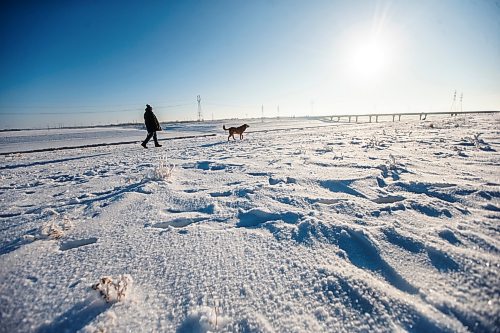 MIKAELA MACKENZIE / WINNIPEG FREE PRESS

Glenn Reico and his dog, Chester, go for a walk near kilometre eight of the Duff Roblin Parkway just outside of Winnipeg on Thursday, Jan. 5, 2023. Standup.
Winnipeg Free Press 2023.