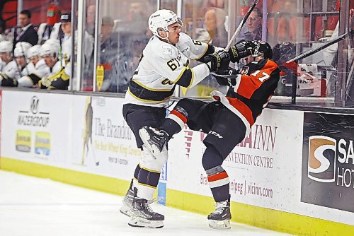 13012023
Matthew Henry #67 of the Brandon Wheat Kings drives Brayden Boehm #17 the Medicine Hat Tigers into the boards during WHL action at Westoba Place on Friday evening. (Tim Smith/The Brandon Sun)