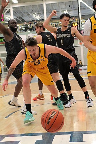 Brandon Bobcats forward Jack McDonald stumbles as the ball bounces off his arms and out of bounds against the Manitoba Bisons in Canada West men's basketball at the Healthy Living Centre on Friday. (Thomas Friesen/The Brandon Sun)