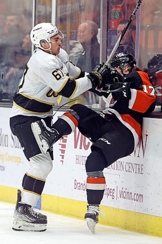 13012023
Matthew Henry #67 of the Brandon Wheat Kings drives Brayden Boehm #17 the Medicine Hat Tigers into the boards during WHL action at Westoba Place on Friday evening. (Tim Smith/The Brandon Sun)