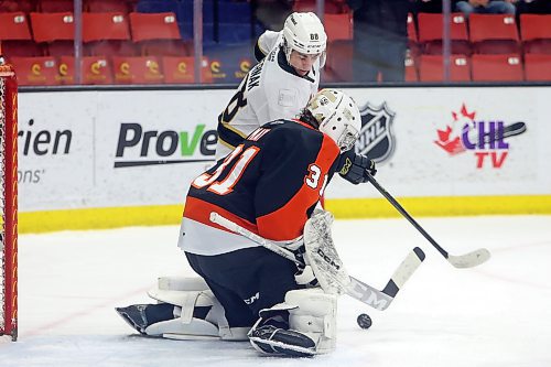 13012023
Dawson Pasternak #88 of the Brandon Wheat Kings tries to get the puck past netminder Evan May #31 of the Medicine Hat Tigers during WHL action at Westoba Place on Friday evening. (Tim Smith/The Brandon Sun)