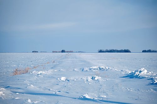 MIKE DEAL / WINNIPEG FREE PRESS
View North towards the US/Canada border in the vicinity of the area that the seven Indian migrants were found crossing into the US from Canada a year ago.
See Chris Kitching story
230112 - Thursday, January 12, 2023.