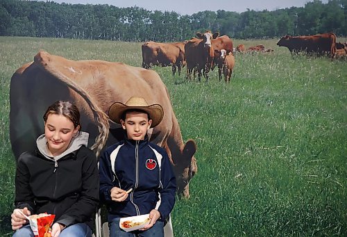 18012023
Siblings Reece and Wyatt Atchison east lunch in front of a mural of cattle during Manitoba Ag Days 2023 at the Keystone Centre on Wednesday.  (Tim Smith/The Brandon Sun)
