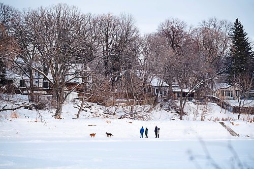 MIKE DEAL / WINNIPEG FREE PRESS
Dog walkers on the Assiniboine River near Bourkevale Drive Thursday afternoon.
See Tyler Searle story
230119 - Thursday, January 19, 2023.