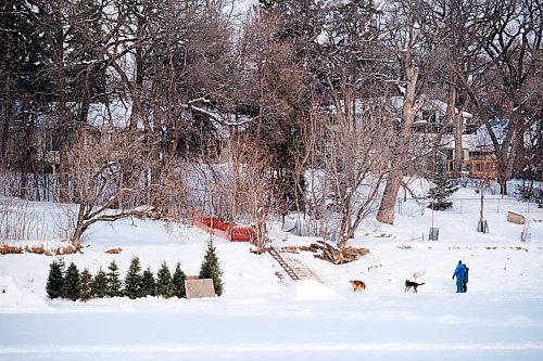 MIKE DEAL / WINNIPEG FREE PRESS
Dog walkers on the Assiniboine River near Bourkevale Drive Thursday afternoon.
See Tyler Searle story
230119 - Thursday, January 19, 2023.