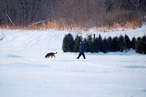 MIKE DEAL / WINNIPEG FREE PRESS
Dog walkers on the Assiniboine River near Bourkevale Drive Thursday afternoon.
See Tyler Searle story
230119 - Thursday, January 19, 2023.