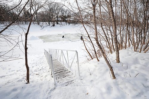 RUTH BONNEVILLE / WINNIPEG FREE PRESS
LOCAL - river rules
Ross Brownlee, a member of the Winter Wonderland group, and Jarrett Rempel a physical education teacher at Westgate Mennonite Collegiate, flood a skating area on the river to prepare a skating trail Thursday.
Also, photo of the steel ramp access to the river level behind Westgate Mennonite Collegiate. The city paid for this and it would be beneficial to have a photo for my story.
For story on more residents using the river for activities and who is responsible for rules of use.
Tyler Searle
Multi-media producer, Winnipeg Free Press
Jan 19th, 2023