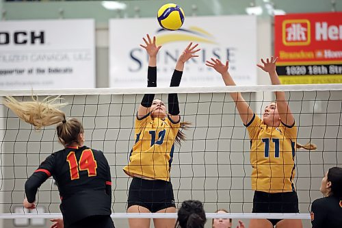 Keely Anderson, centre, and Danielle Dardis of the Brandon University Bobcats try to block Alice Nikolaychuk of the Calgary Dinos during university volleyball action at the Healthy Living Centre on Friday evening. The Bobcats lost in five sets. (Tim Smith/The Brandon Sun)