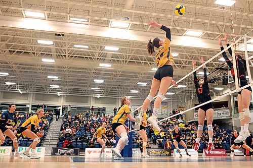 Keely Anderson (10) of the Brandon University Bobcats leaps to spike the ball over the net during volleyball action against the University of Calgary Dinos at the BU Healthy Living Centre on Friday evening. The Bobcats lost to the Dinos in five sets. (Tim Smith/The Brandon Sun)